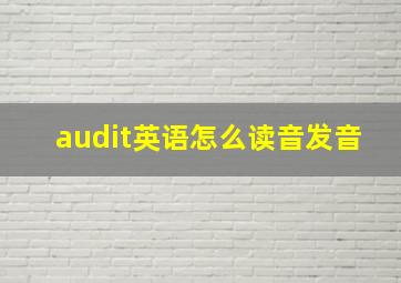 audit英语怎么读音发音