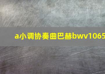 a小调协奏曲巴赫bwv1065