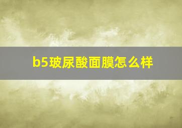 b5玻尿酸面膜怎么样