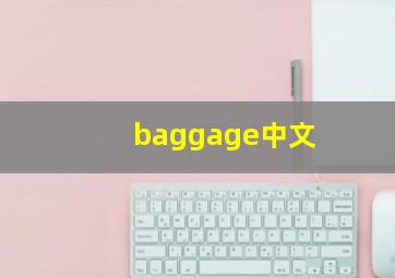 baggage中文