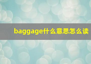 baggage什么意思怎么读