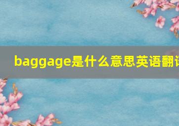 baggage是什么意思英语翻译