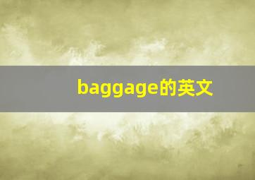 baggage的英文