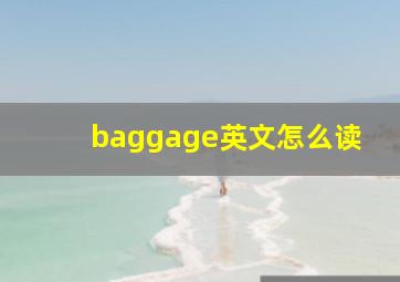 baggage英文怎么读