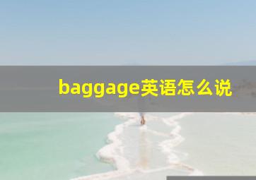 baggage英语怎么说