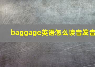 baggage英语怎么读音发音