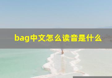 bag中文怎么读音是什么