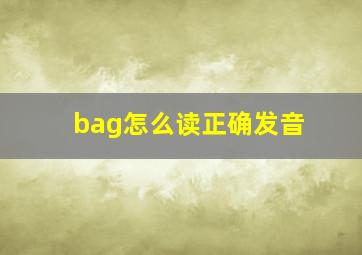 bag怎么读正确发音