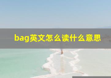 bag英文怎么读什么意思