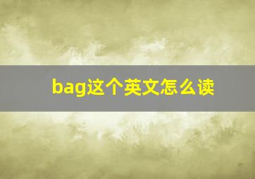 bag这个英文怎么读