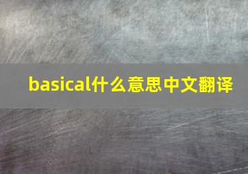 basical什么意思中文翻译