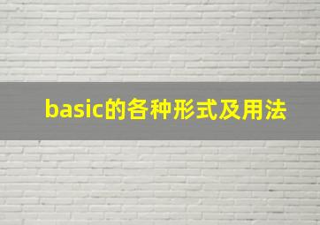 basic的各种形式及用法