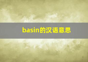 basin的汉语意思