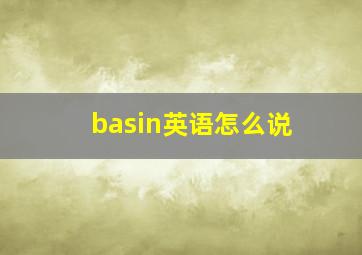 basin英语怎么说