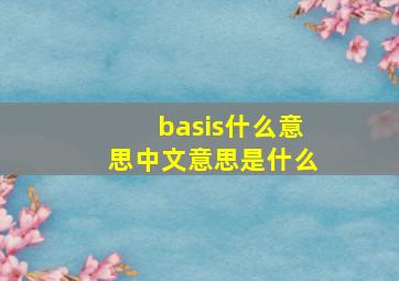 basis什么意思中文意思是什么