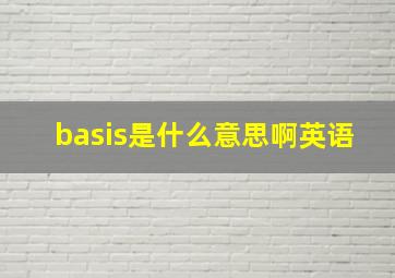 basis是什么意思啊英语