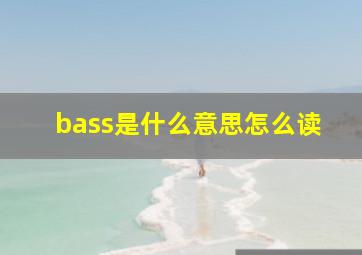 bass是什么意思怎么读