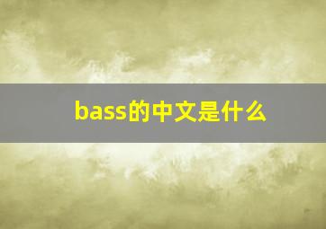 bass的中文是什么