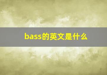 bass的英文是什么