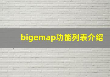 bigemap功能列表介绍