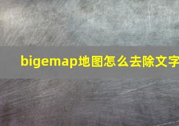 bigemap地图怎么去除文字