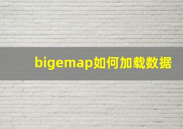 bigemap如何加载数据