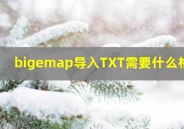 bigemap导入TXT需要什么格式