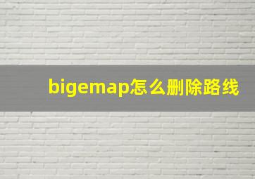 bigemap怎么删除路线