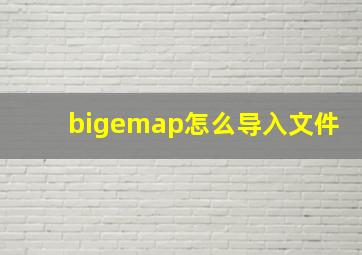 bigemap怎么导入文件