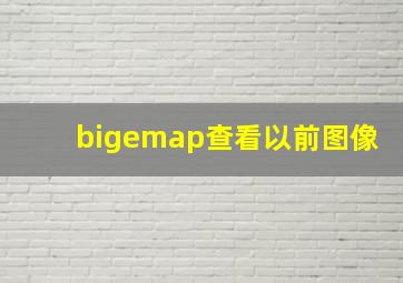 bigemap查看以前图像