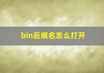 bin后缀名怎么打开