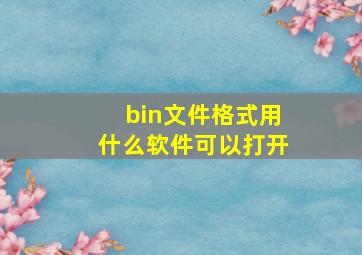 bin文件格式用什么软件可以打开