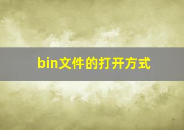 bin文件的打开方式