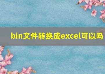 bin文件转换成excel可以吗