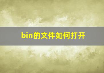 bin的文件如何打开