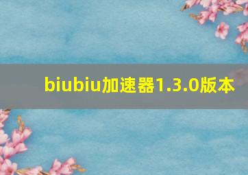 biubiu加速器1.3.0版本