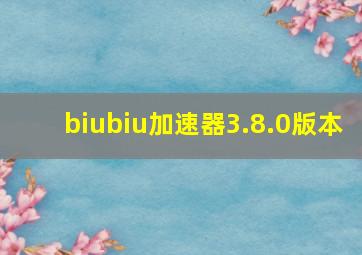 biubiu加速器3.8.0版本