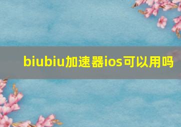 biubiu加速器ios可以用吗