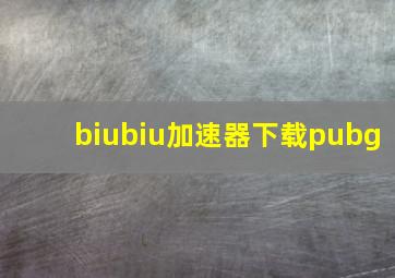 biubiu加速器下载pubg