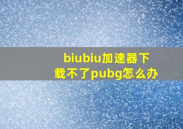 biubiu加速器下载不了pubg怎么办