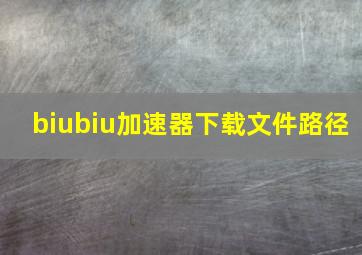 biubiu加速器下载文件路径