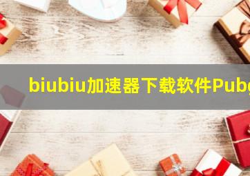 biubiu加速器下载软件Pubg