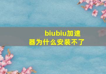 biubiu加速器为什么安装不了