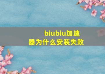 biubiu加速器为什么安装失败