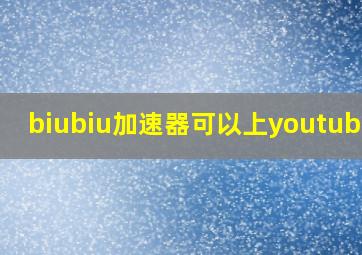 biubiu加速器可以上youtube吗