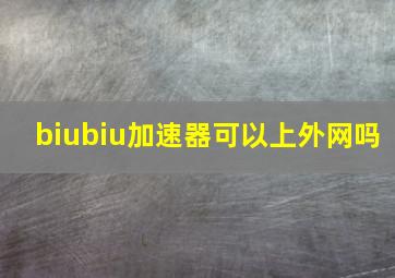 biubiu加速器可以上外网吗