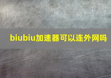 biubiu加速器可以连外网吗