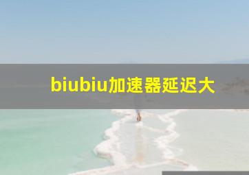 biubiu加速器延迟大