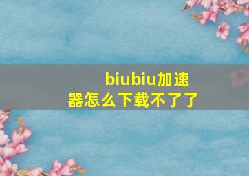 biubiu加速器怎么下载不了了