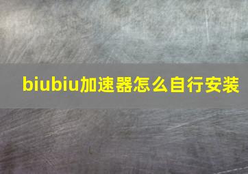 biubiu加速器怎么自行安装